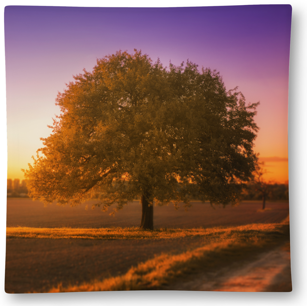 Plate Edge-To-Edge 6" X 6" Square