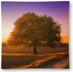 Plate Edge-To-Edge 6" X 6" Square