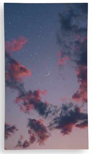 Plate Edge-To-Edge 8" X 14" Rectangle